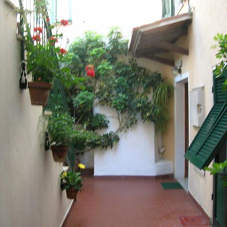 Hotel Anselmi Марчана Марина Екстериор снимка
